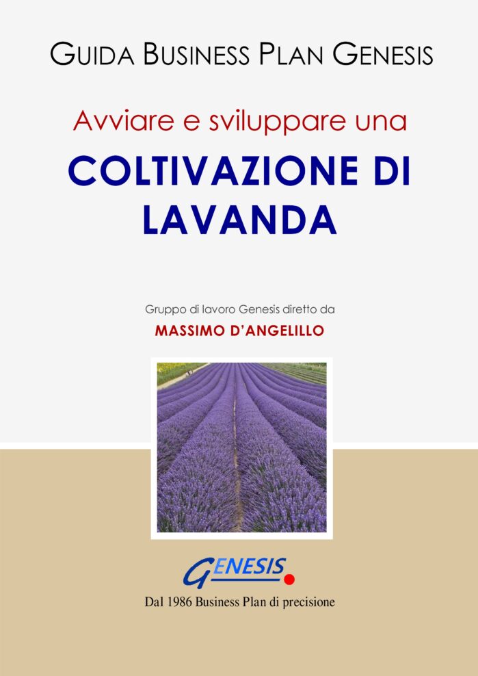 Avviare-Sviluppare-Coltivazione-Lavanda