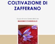 Avviare-Sviluppare-Coltivazione-Zafferano