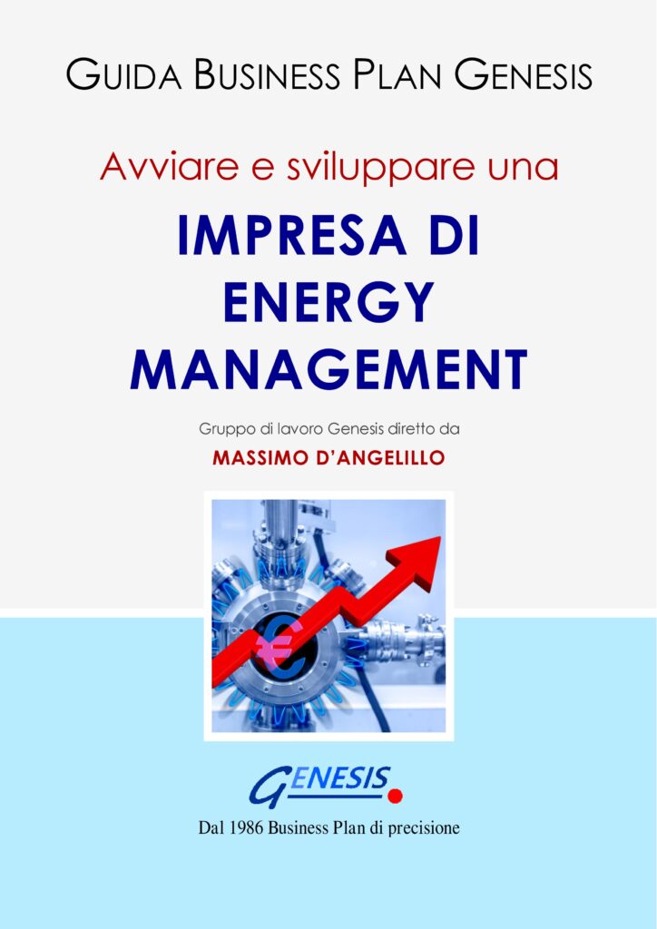 Avviare e sviluppare una impresa di Energy Management