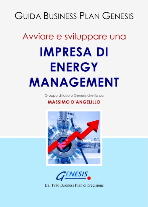 Avviare e sviluppare una impresa di Energy Management